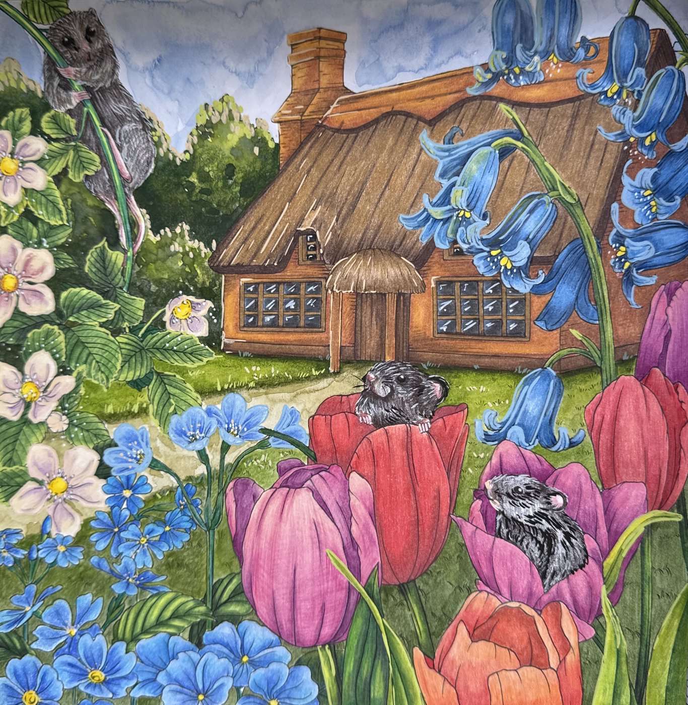 Работа от Anna_08
