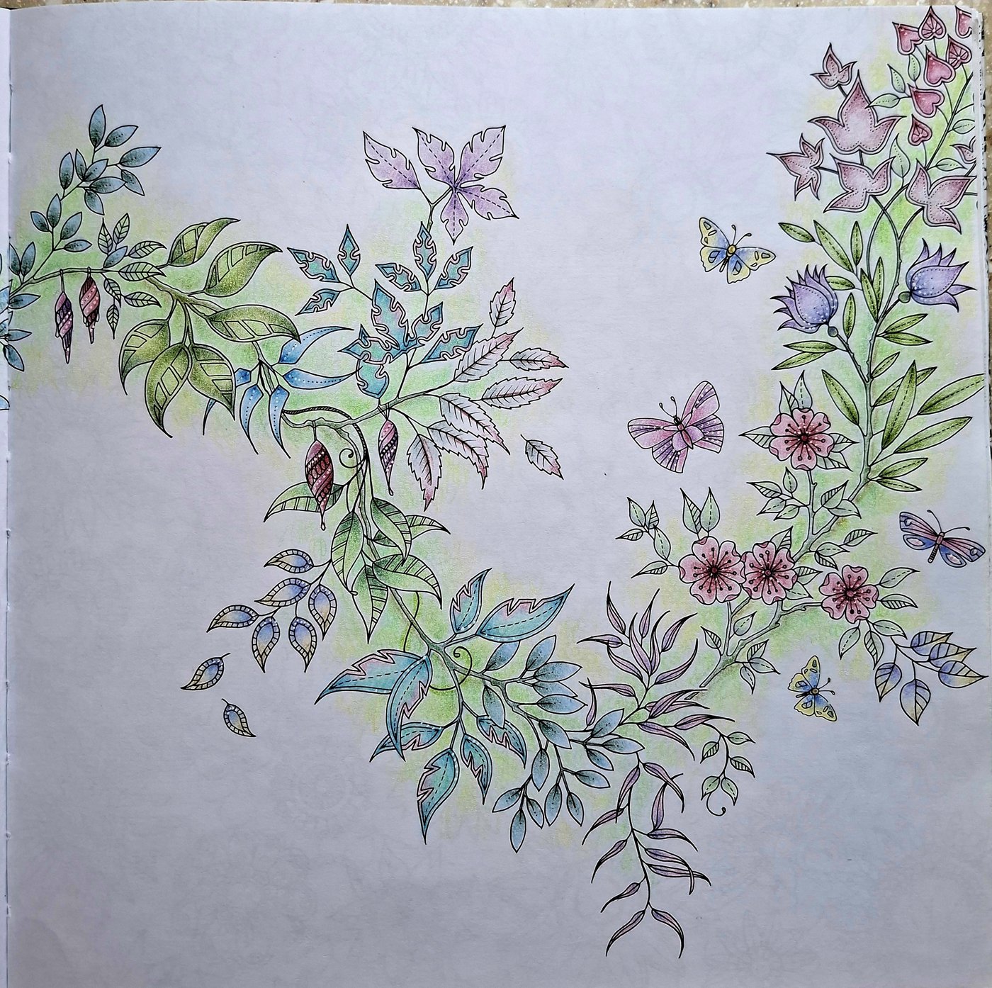 Работа от Svet_ik.m (3/3)