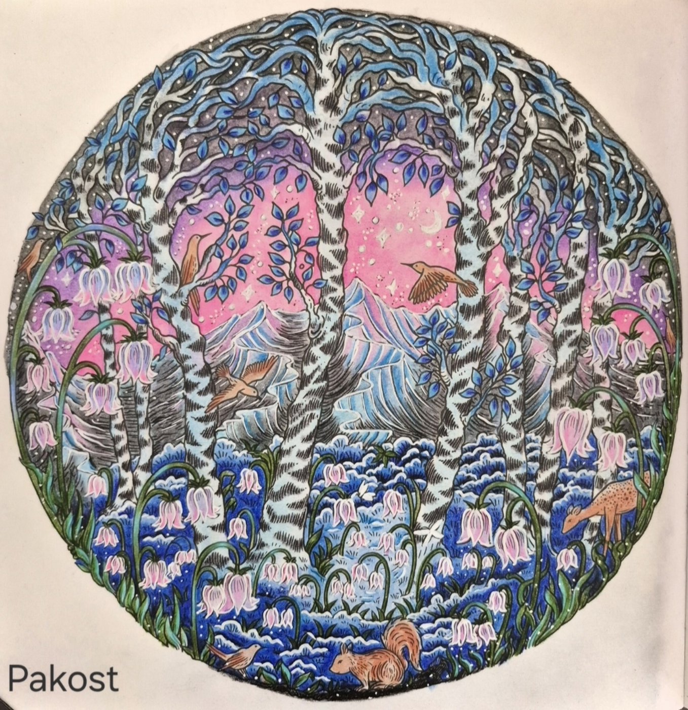 Работа от Elen Pakost