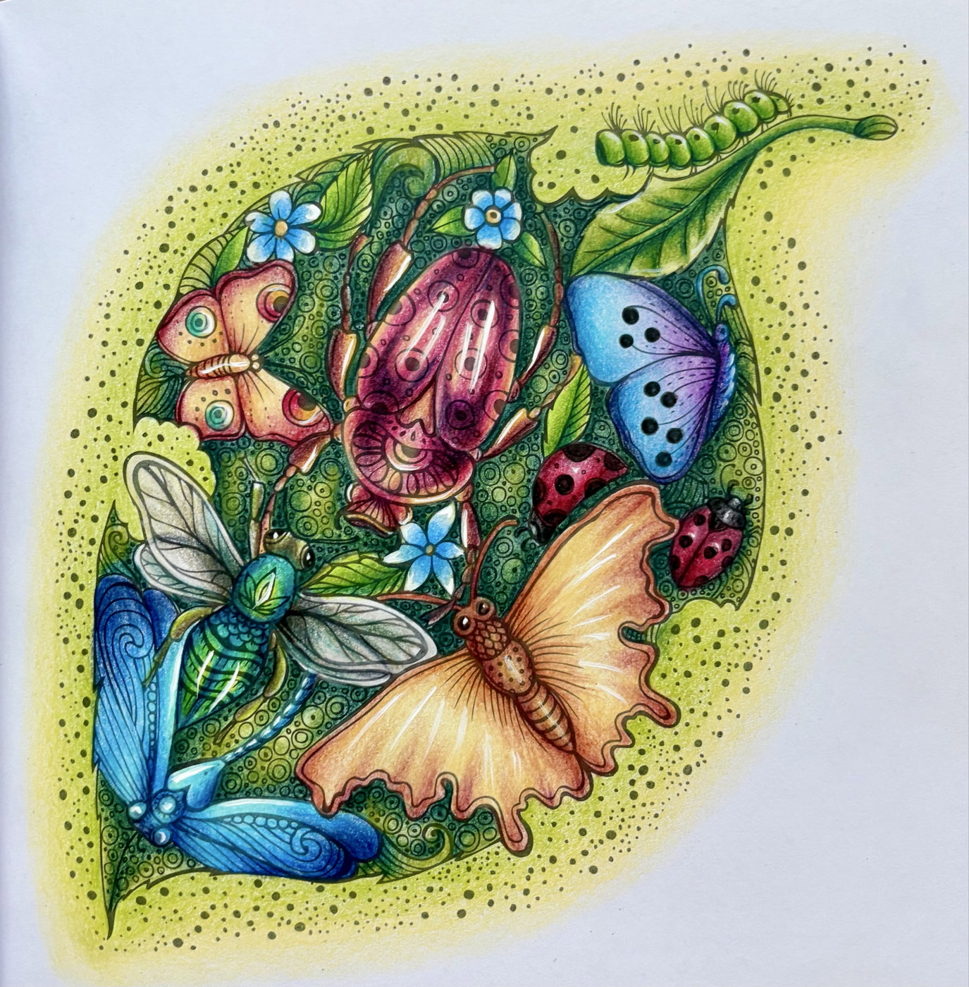 Работа от Coloring blossom