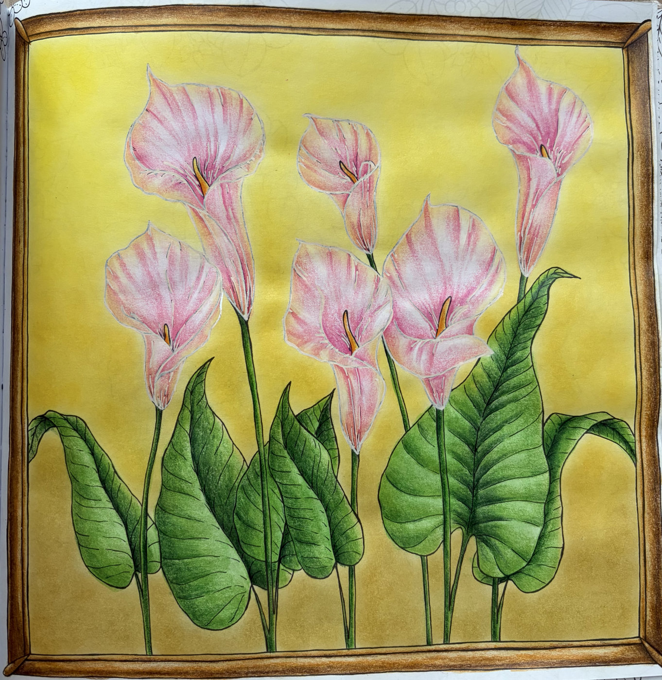 Работа от Coloring blossom