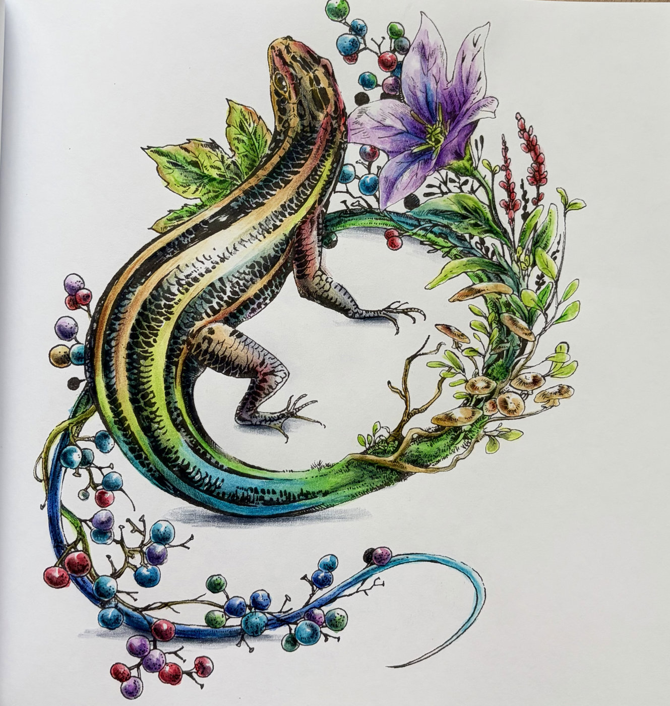 Работа от Coloring blossom