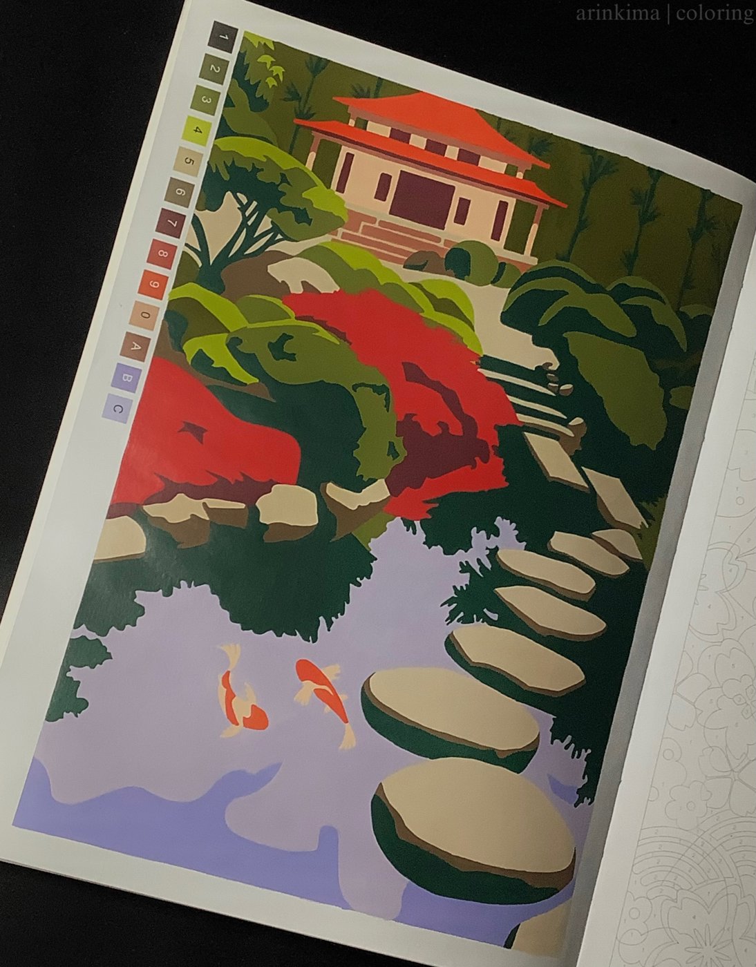 Работа от arinkima_coloring
