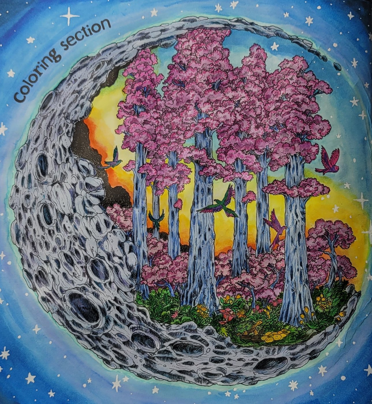 Работа от Fairy Color Time