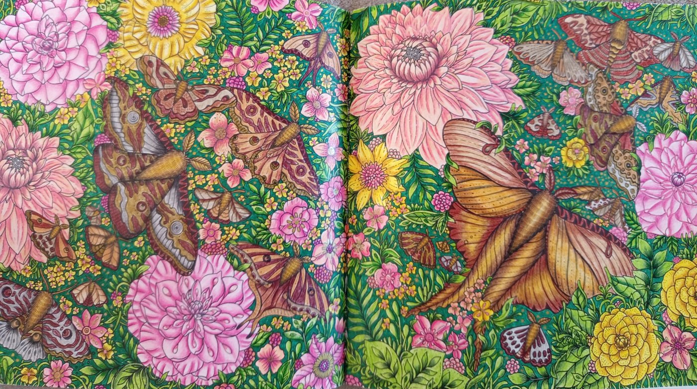 Работа от Tatyana_Loguna