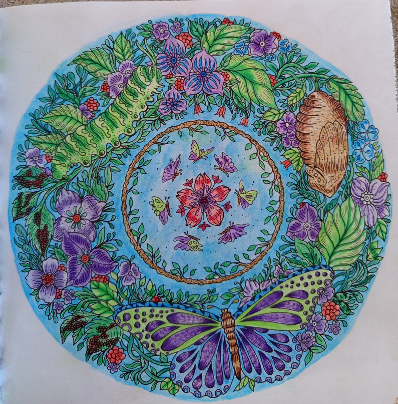 Работа от Tatyana_Loguna