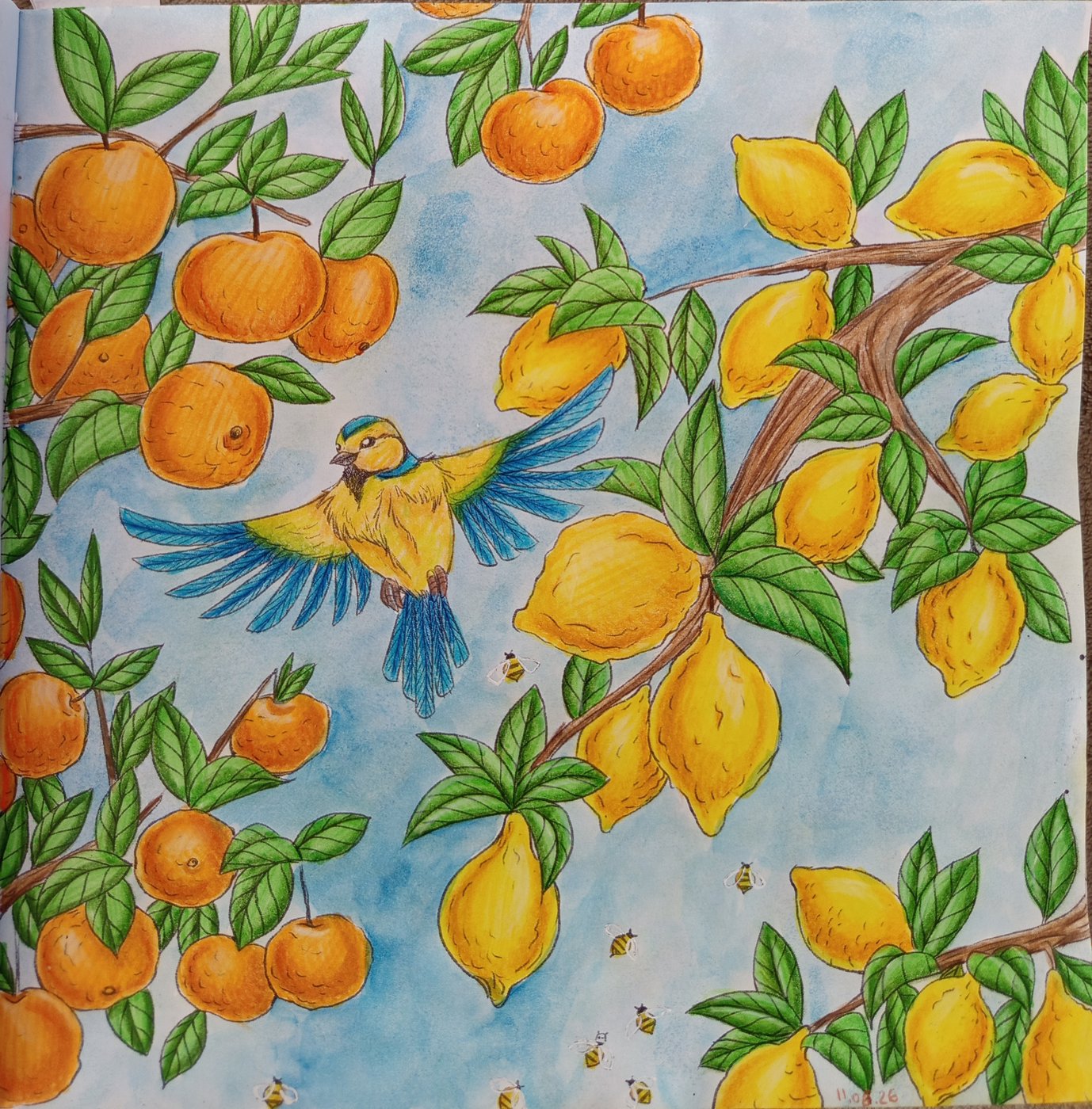 Работа от Tatyana_Loguna