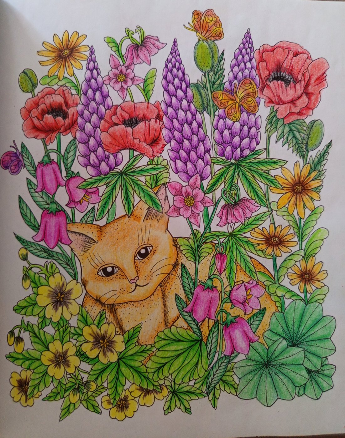 Работа от Tatyana_Loguna
