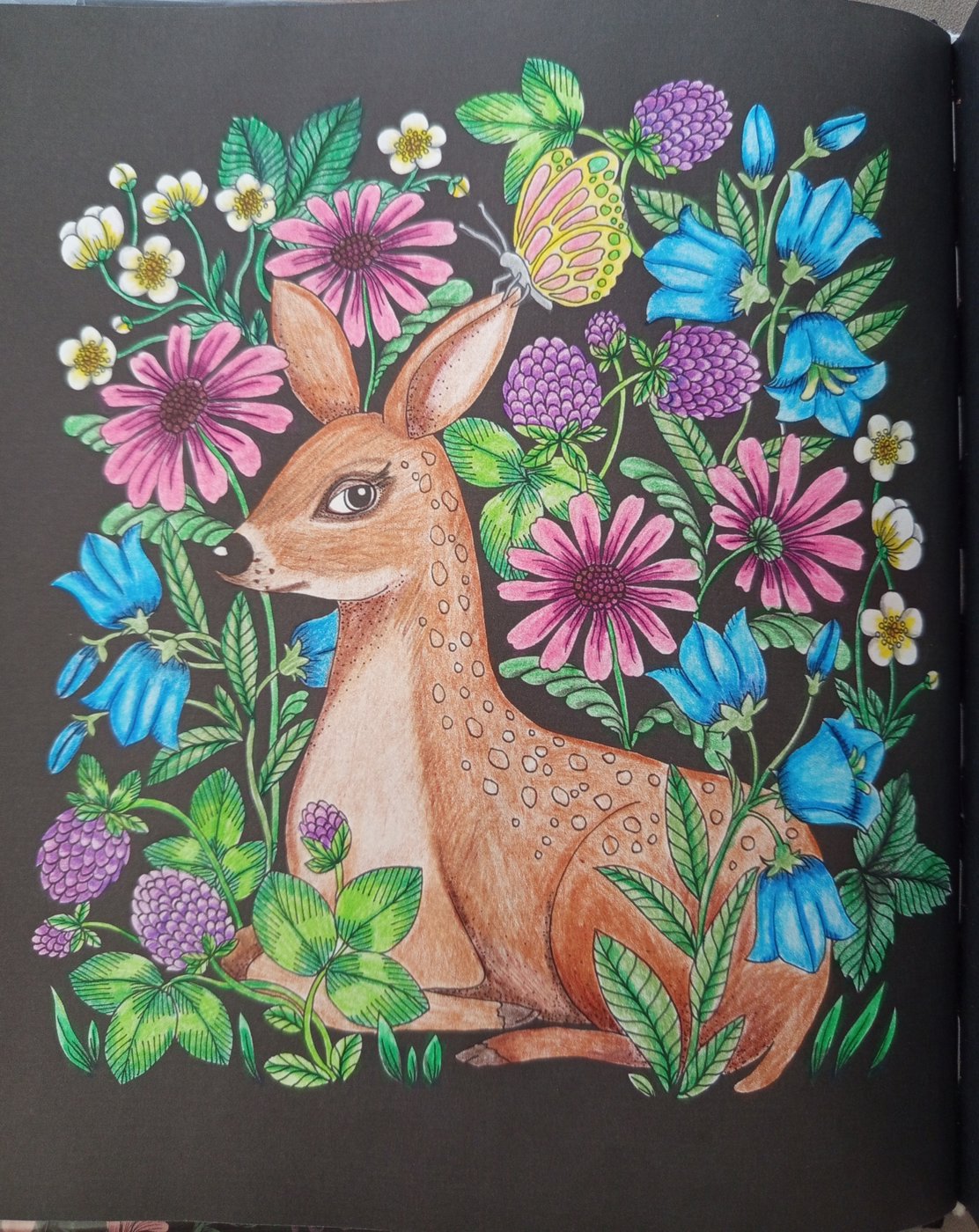 Работа от Tatyana_Loguna