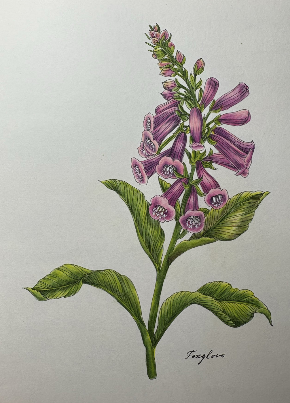 Работа от Ekaterina15
