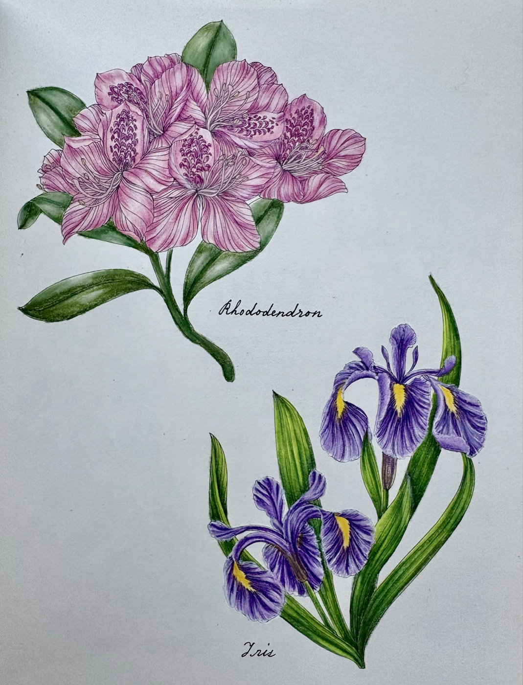 Работа от Ekaterina15