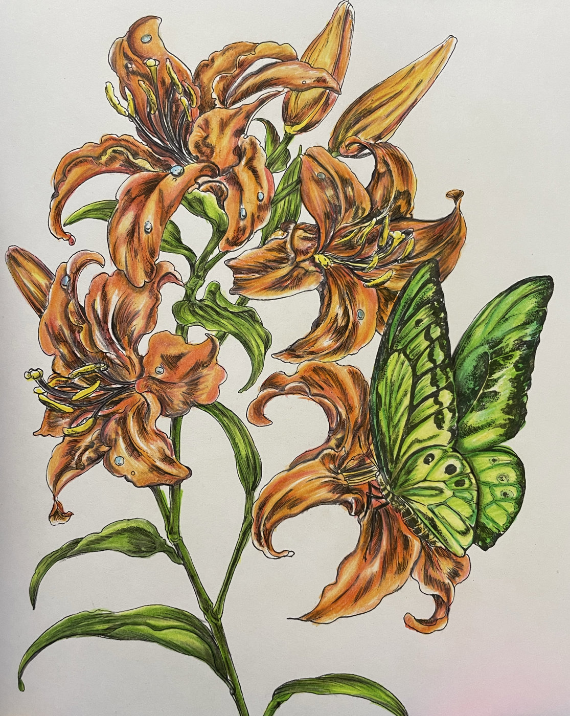 Работа от Ekaterina15