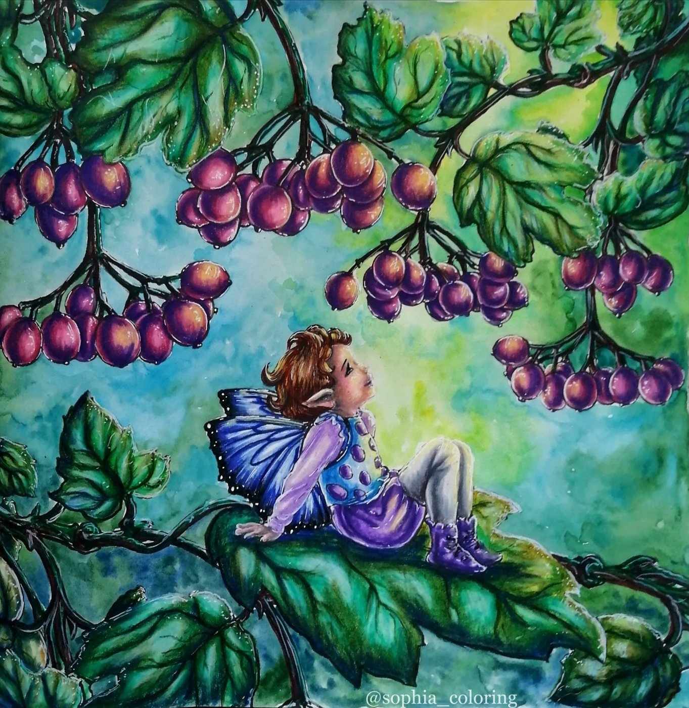 Hanging berries. от Sophia