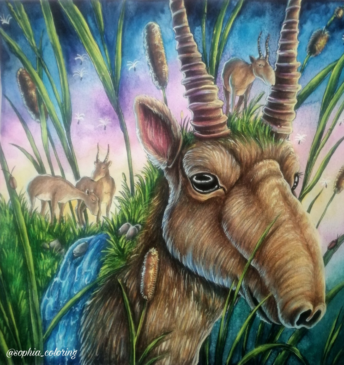 Saiga antelopes. от Sophia