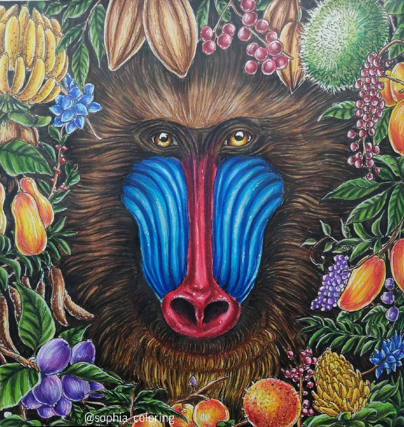 Mandrills. от Sophia