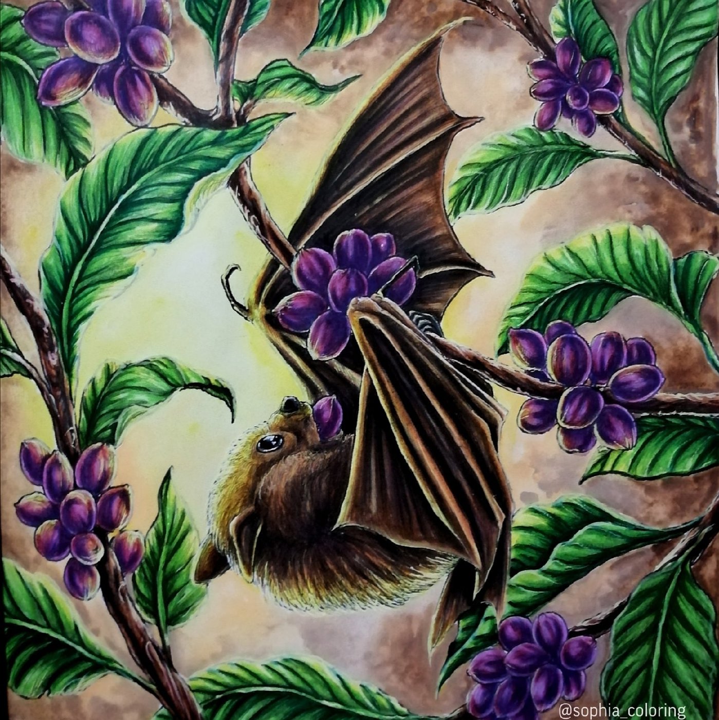 Philippine naked-backed fruit bats. от Sophia