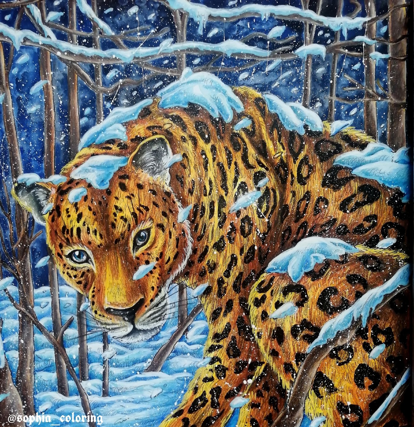 Amur leopards. от Sophia