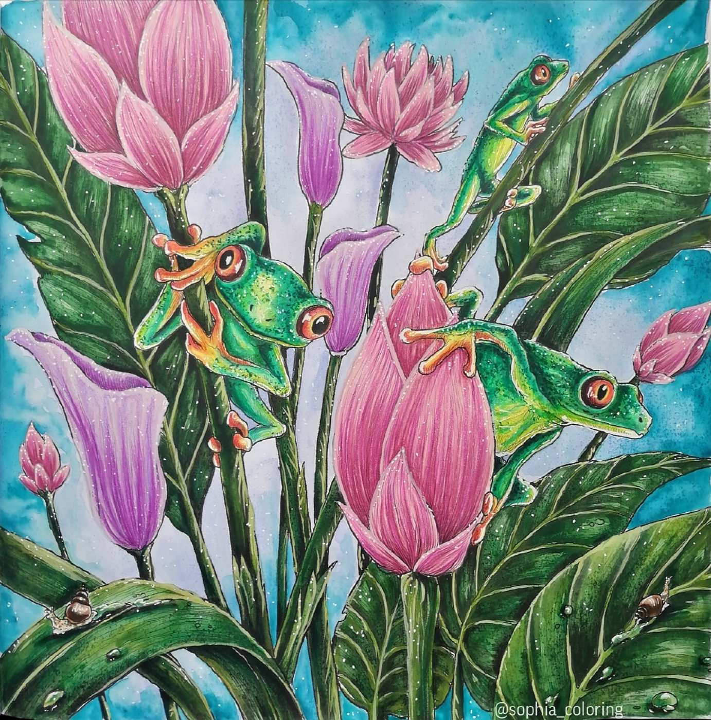 Lemur leaf frogs. от Sophia