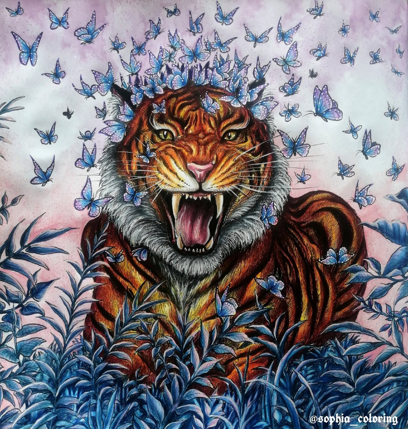Sumatran tigers. от Sophia