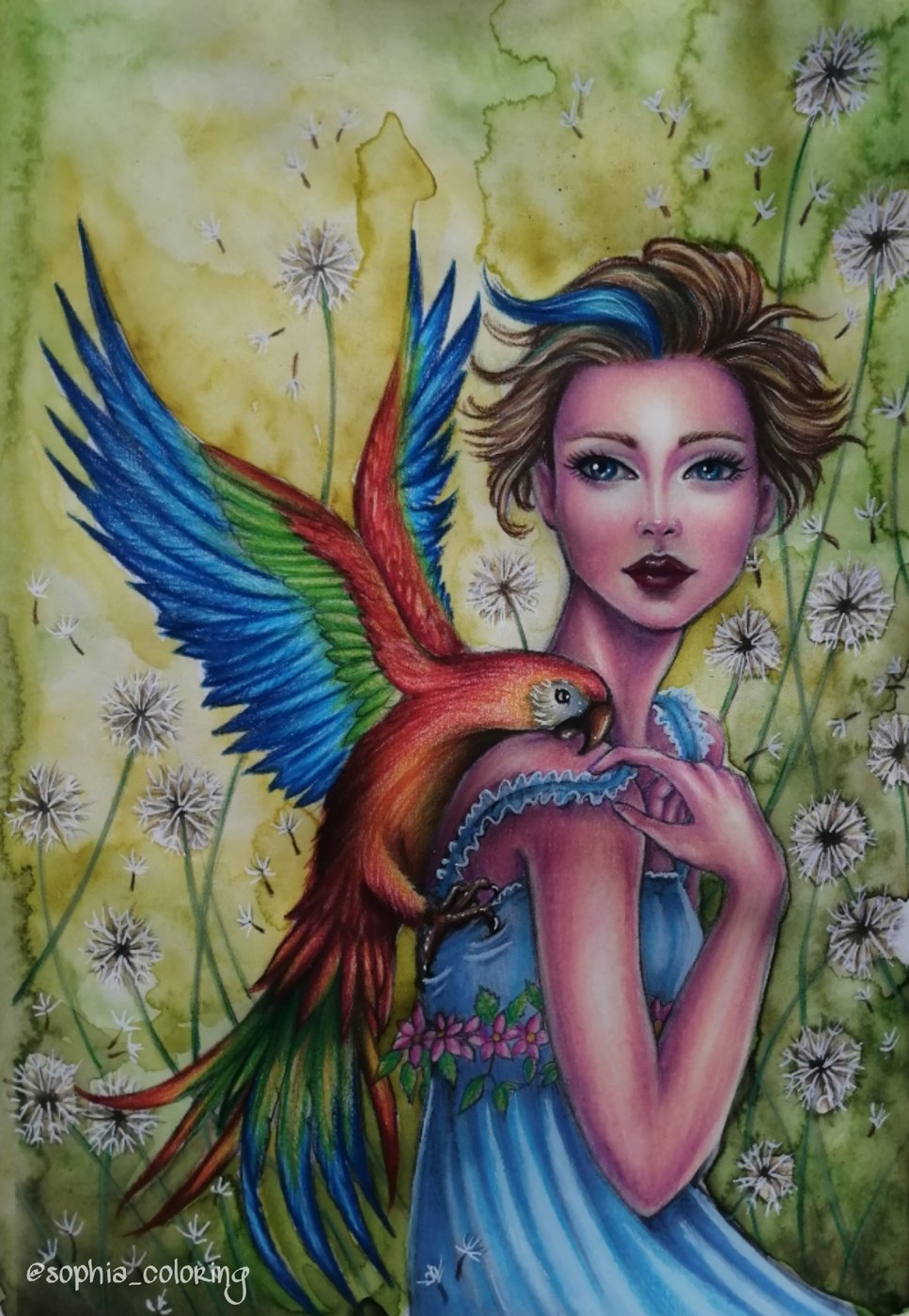 Parrot. от Sophia