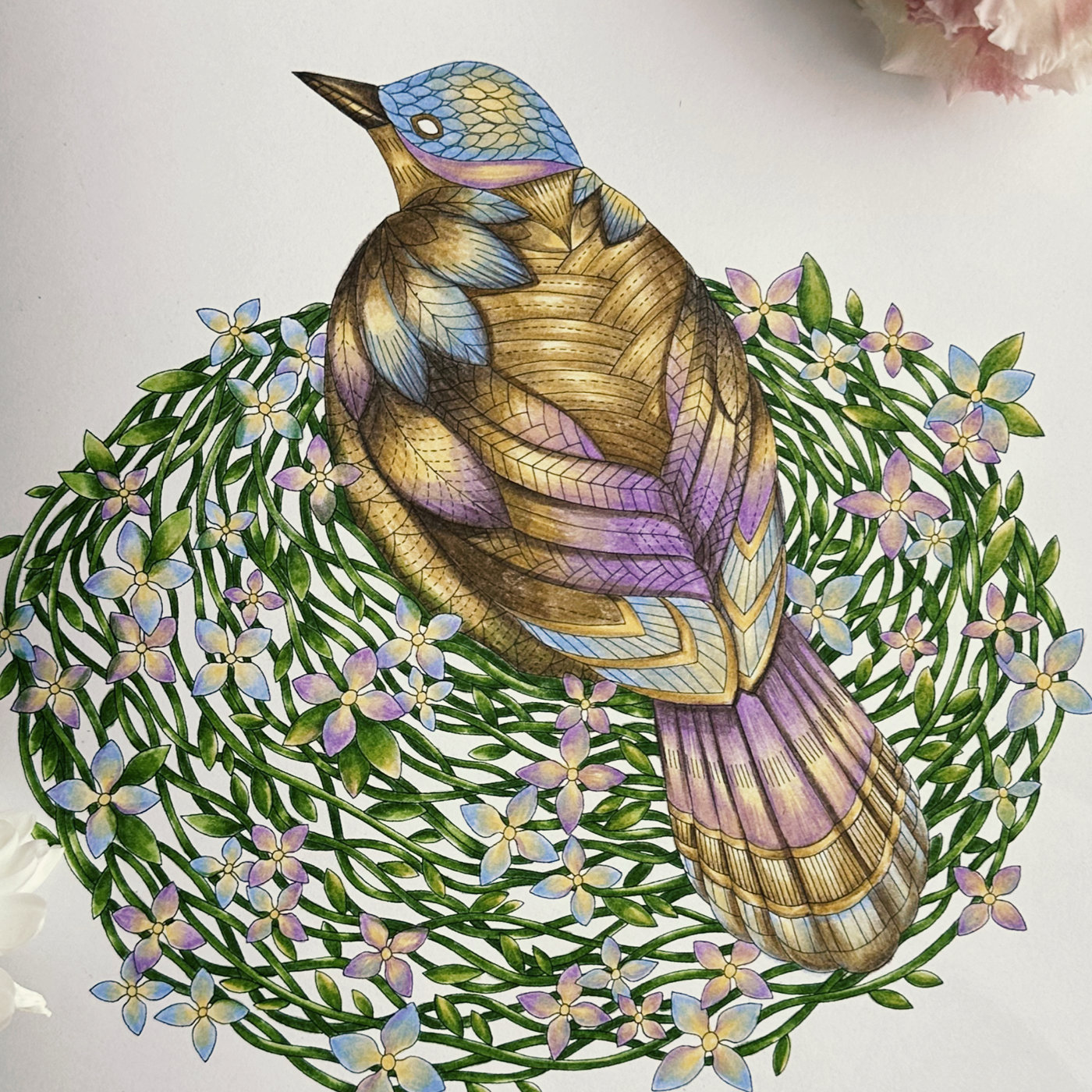 Работа от Coralin_art