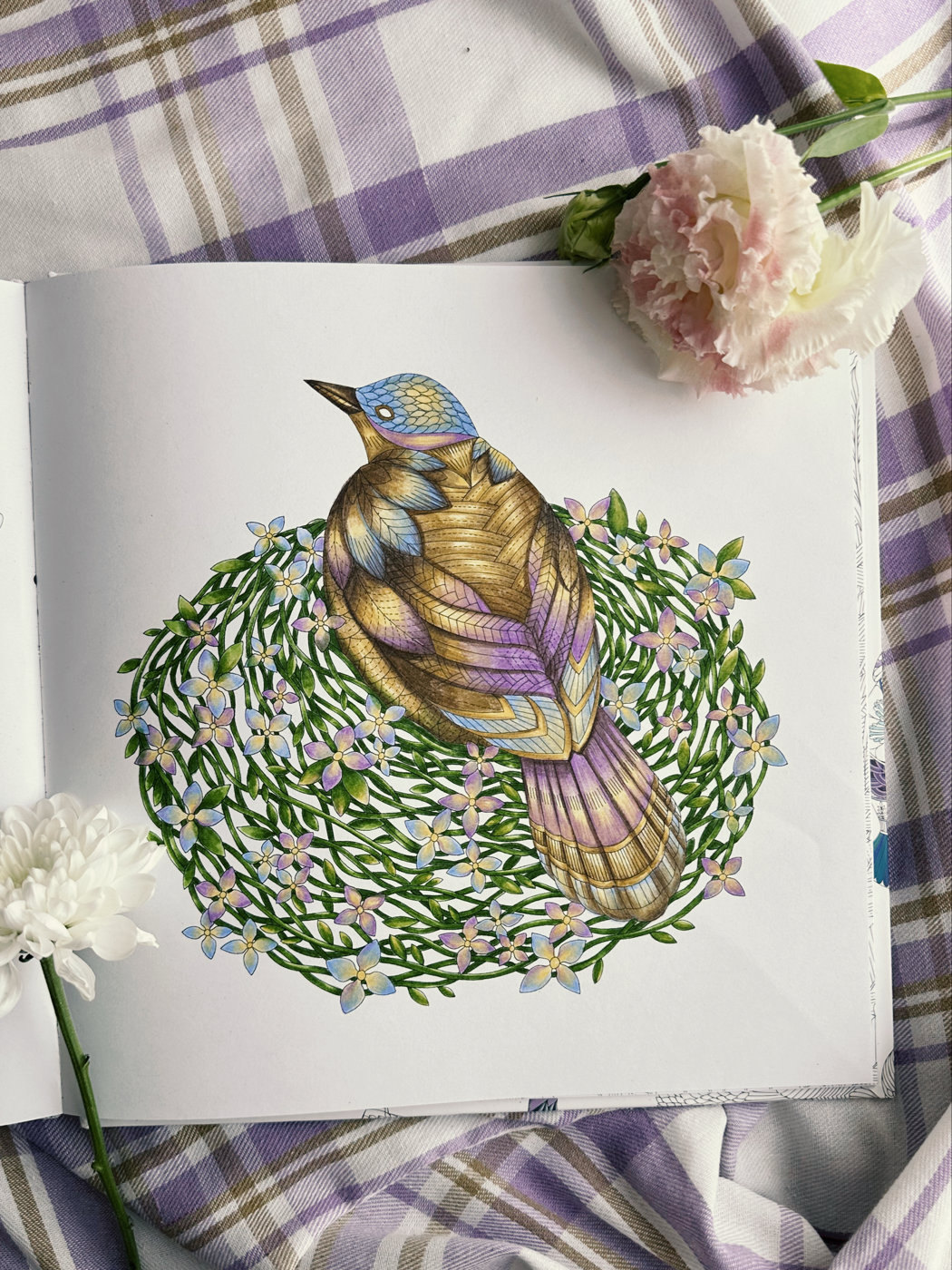 Работа от Coralin_art