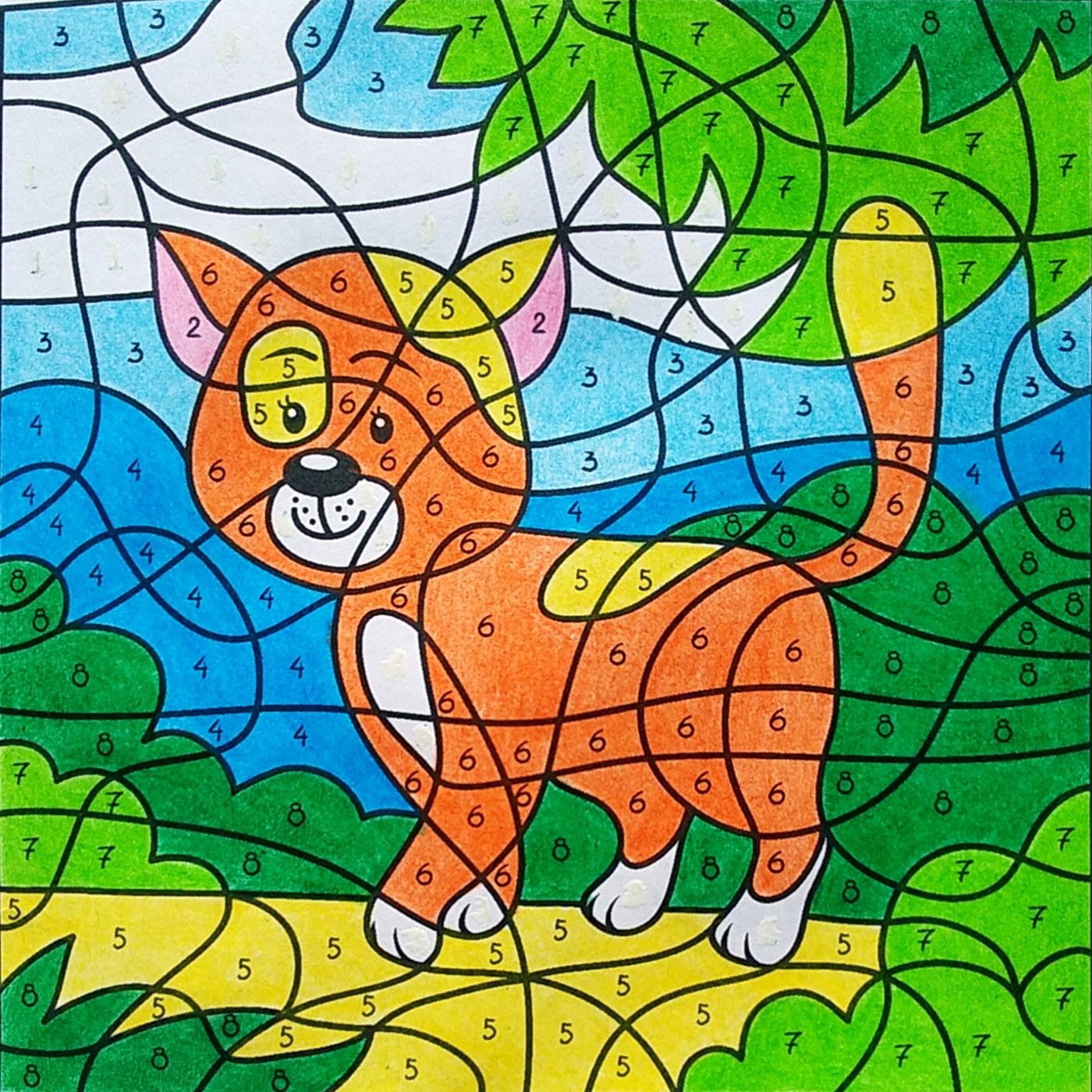 Работа от Colormara