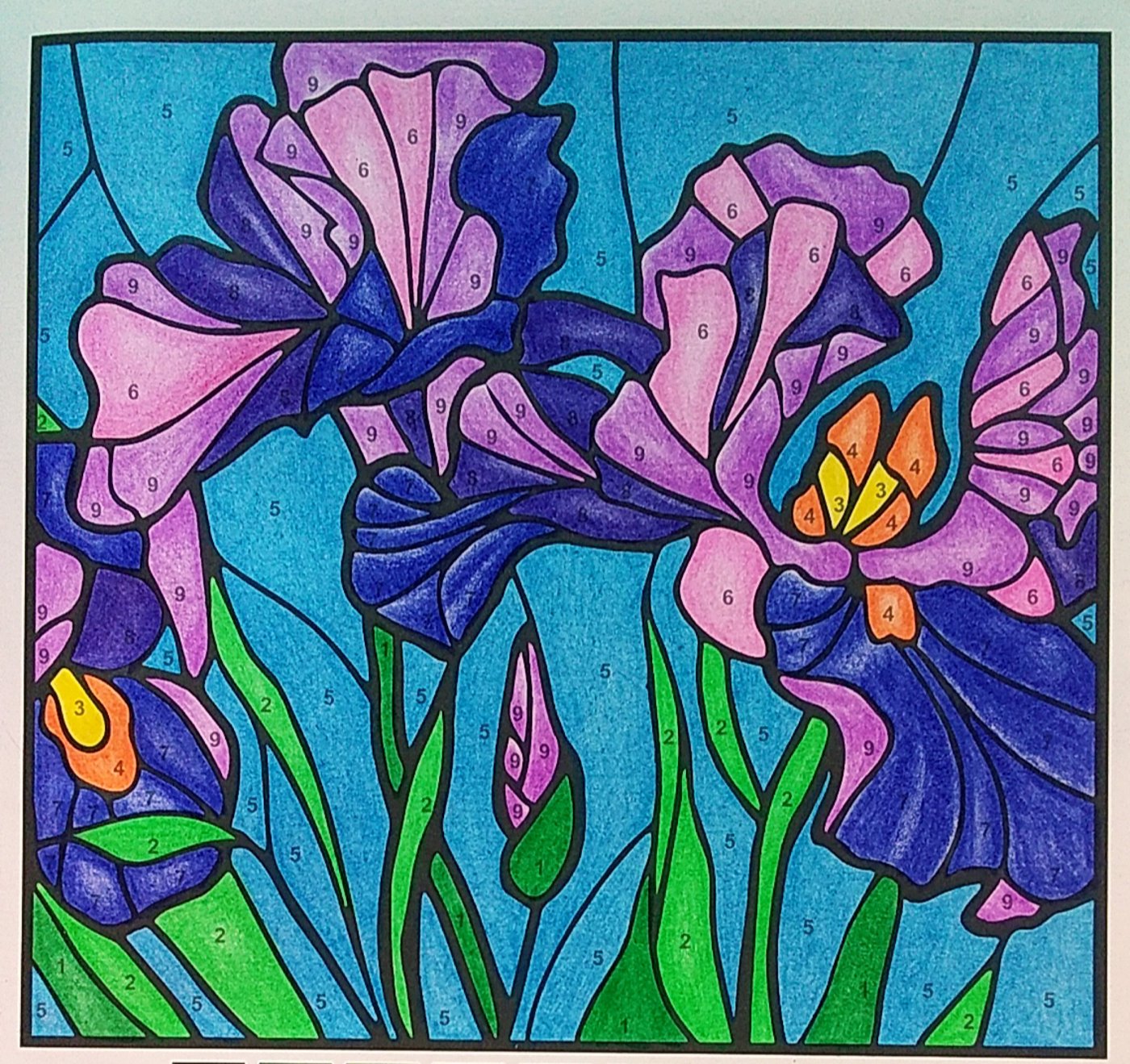 Работа от Colormara