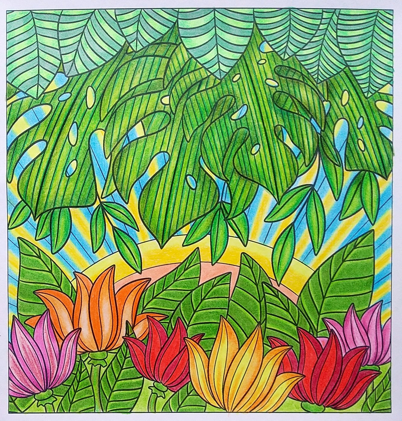 Работа от Colormara