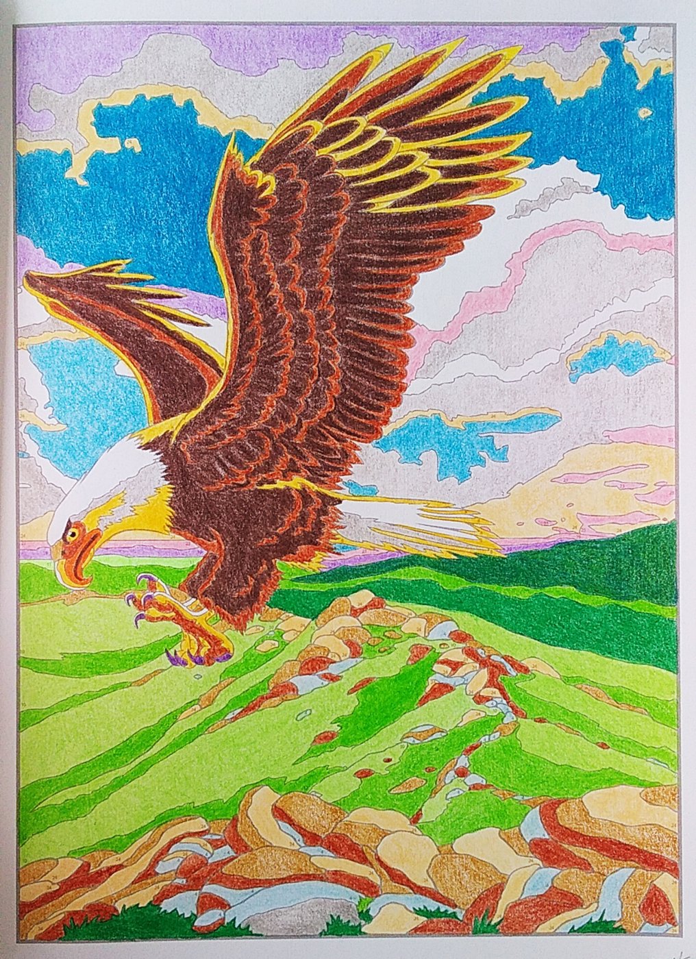 Работа от Colormara