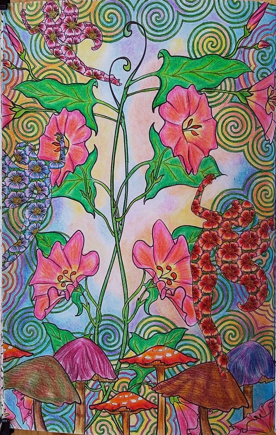 Работа от Colormara