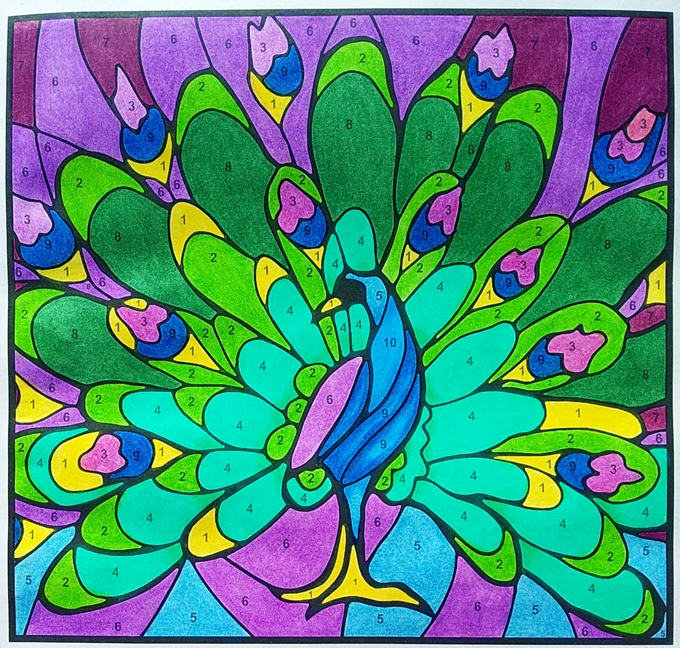 Работа от Colormara