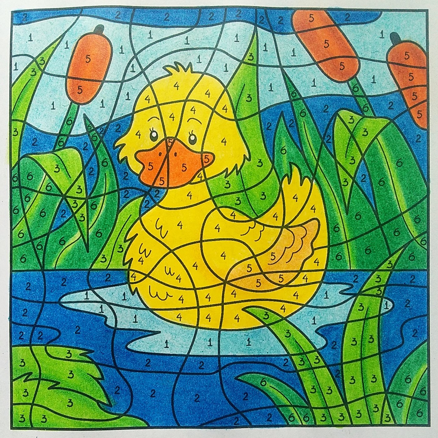 Работа от Colormara