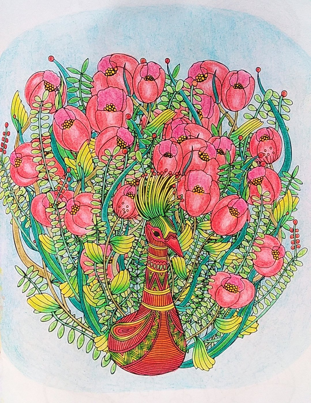 Работа от Colormara