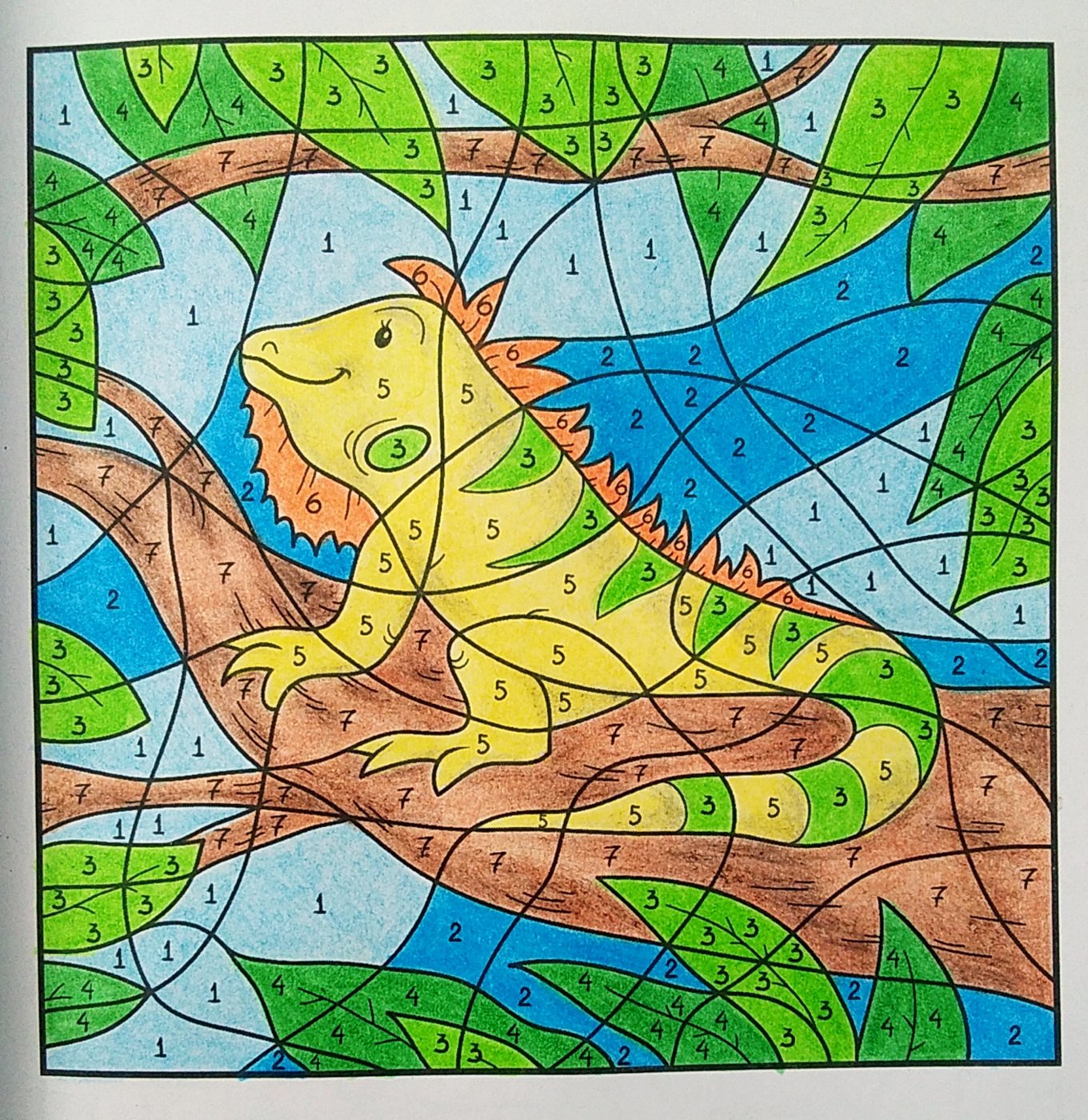 Работа от Colormara