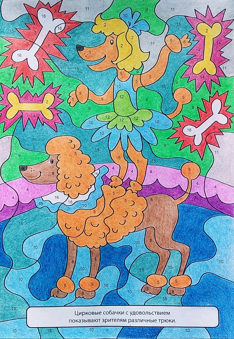 Работа от Colormara