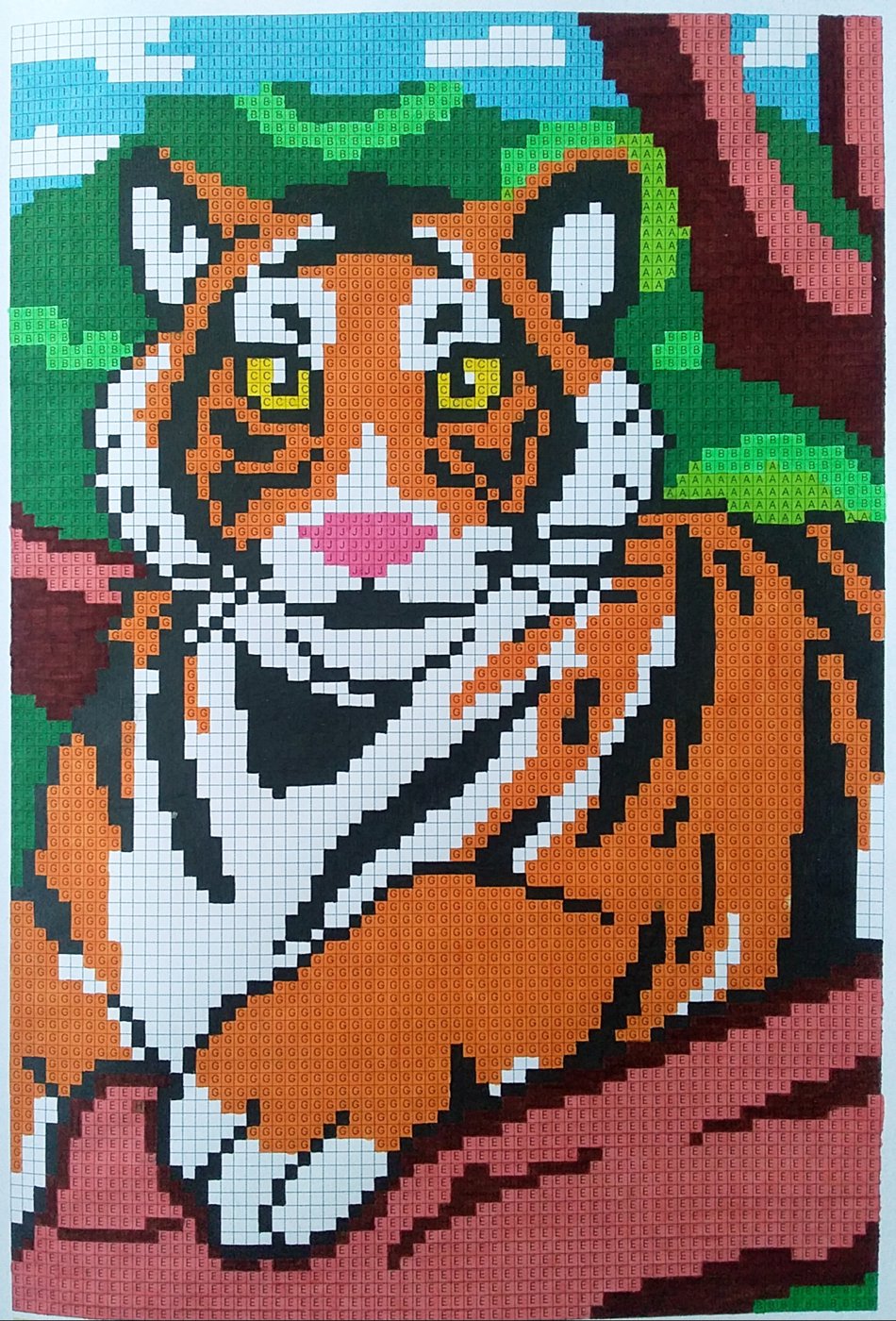 Работа от Colormara