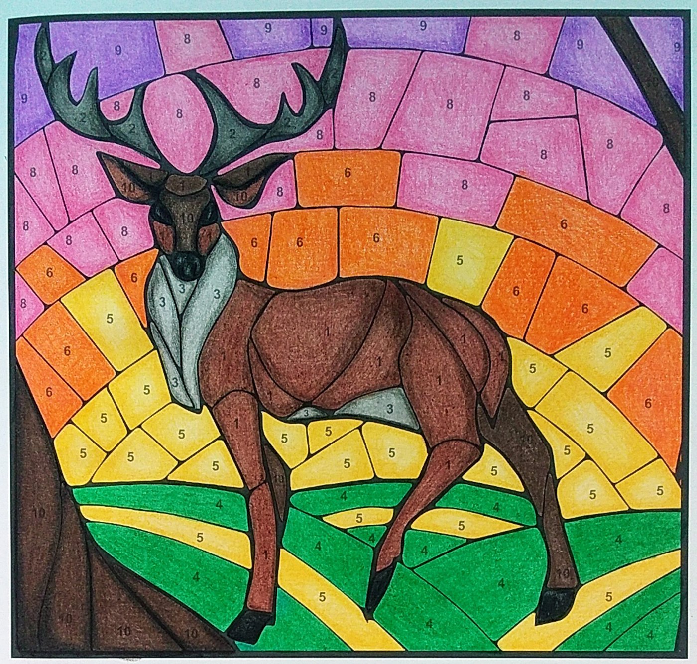 Работа от Colormara