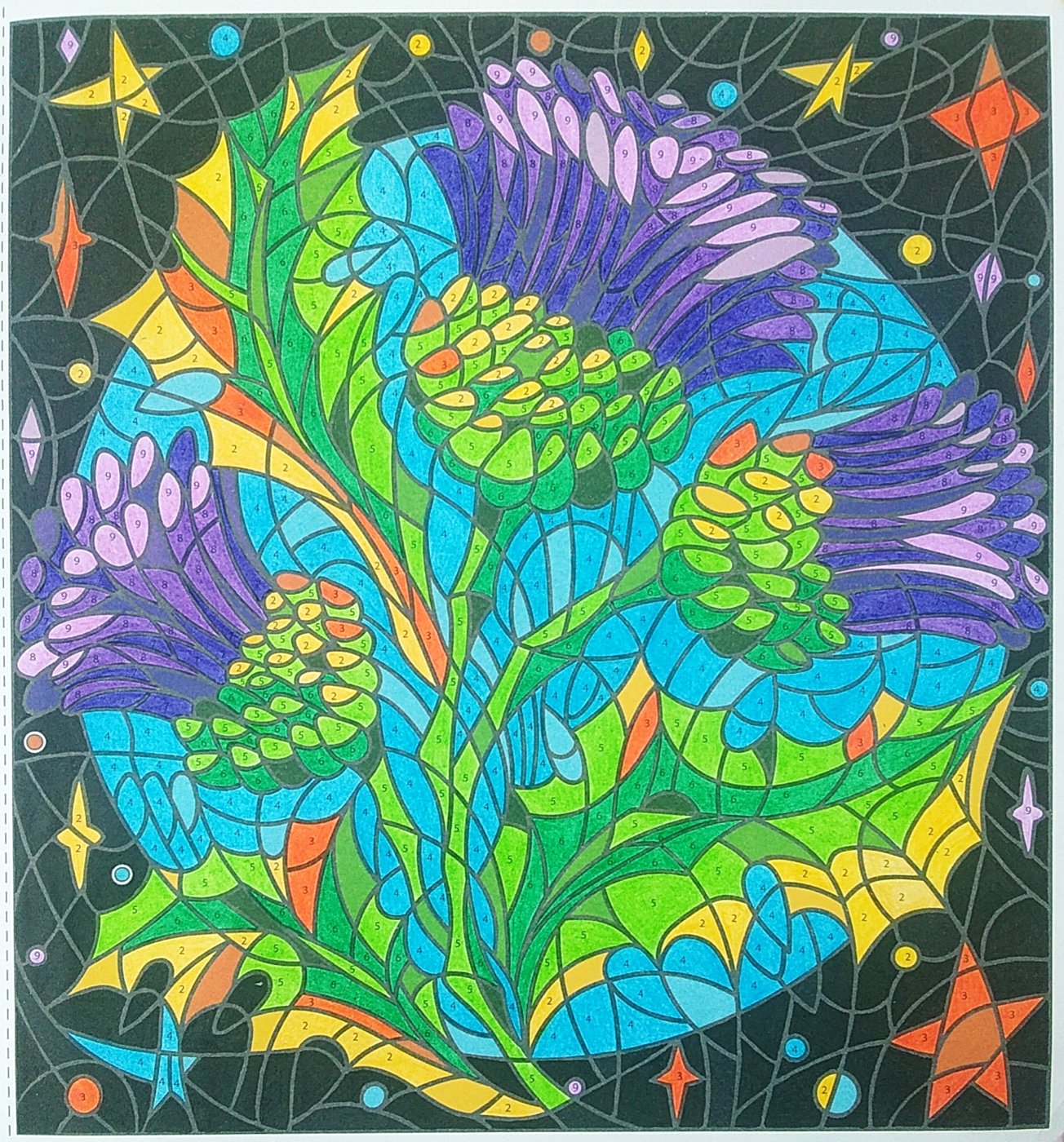 Работа от Colormara