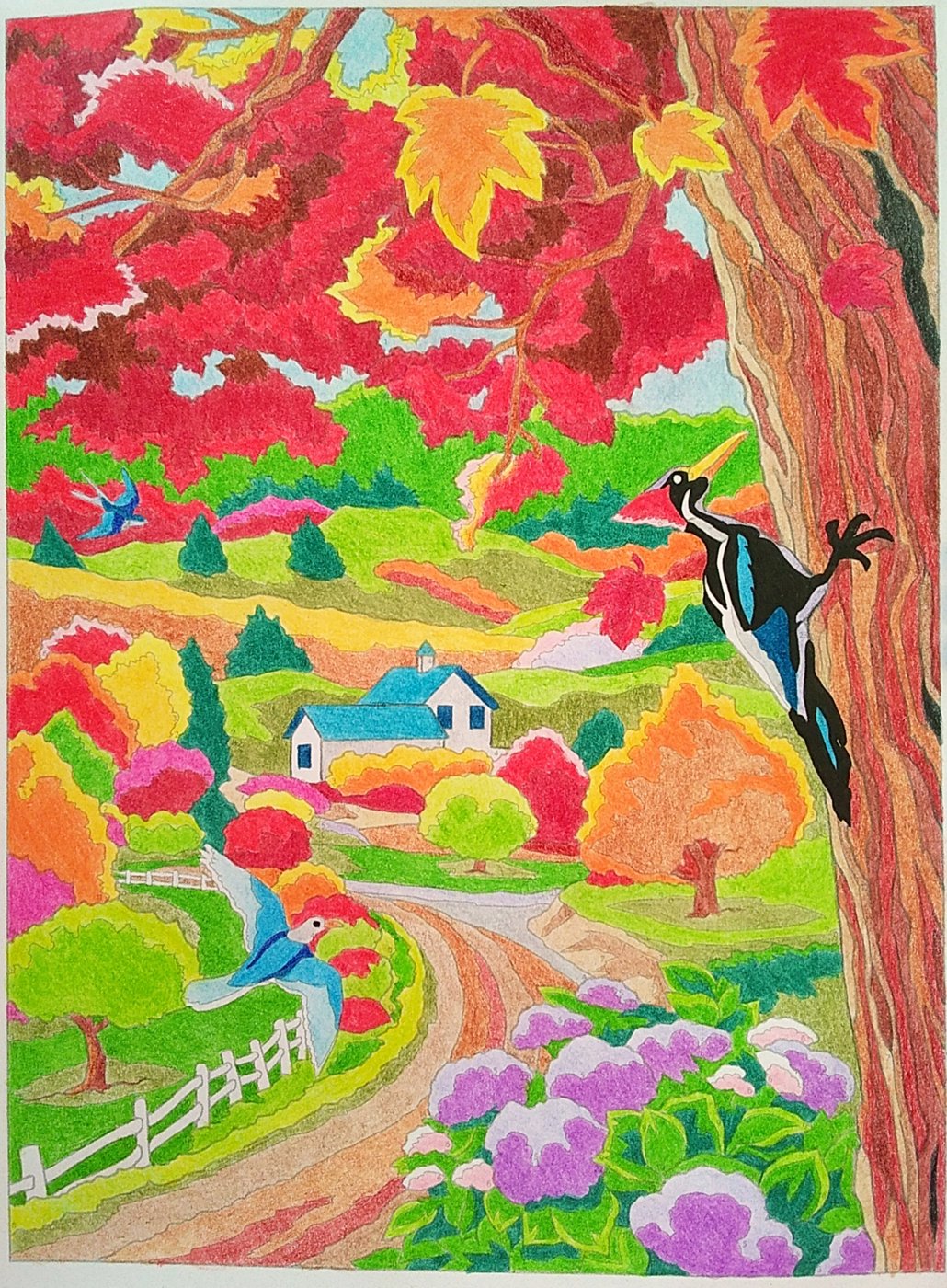 Работа от Colormara