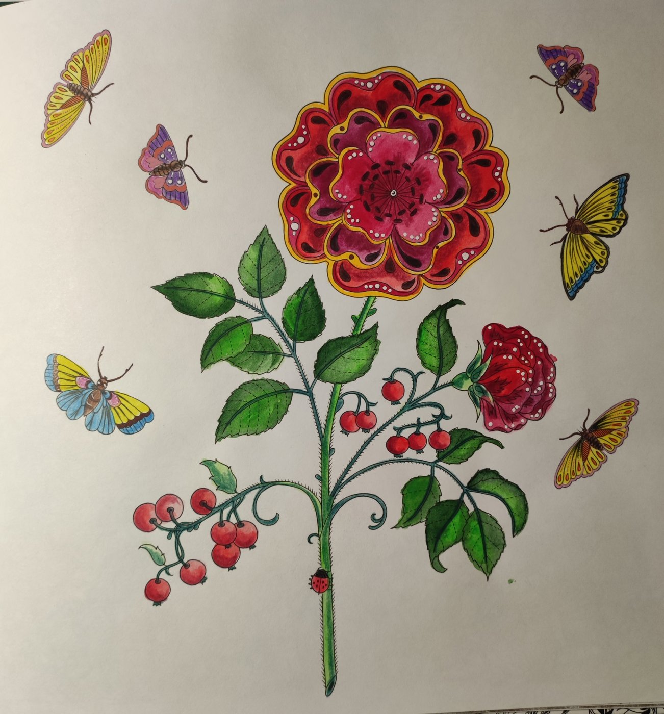 Работа от ColorfulOlga