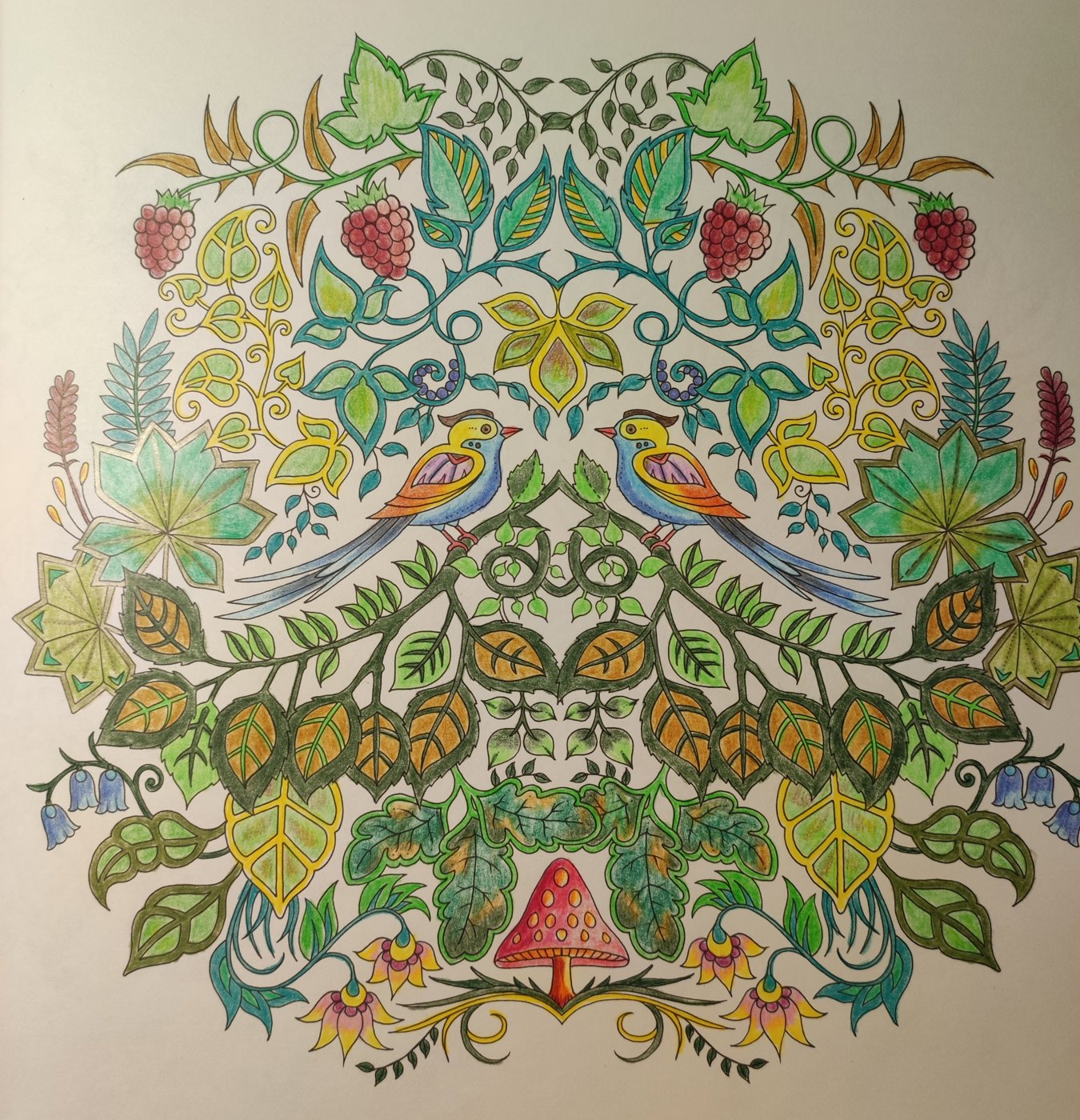 Работа от ColorfulOlga