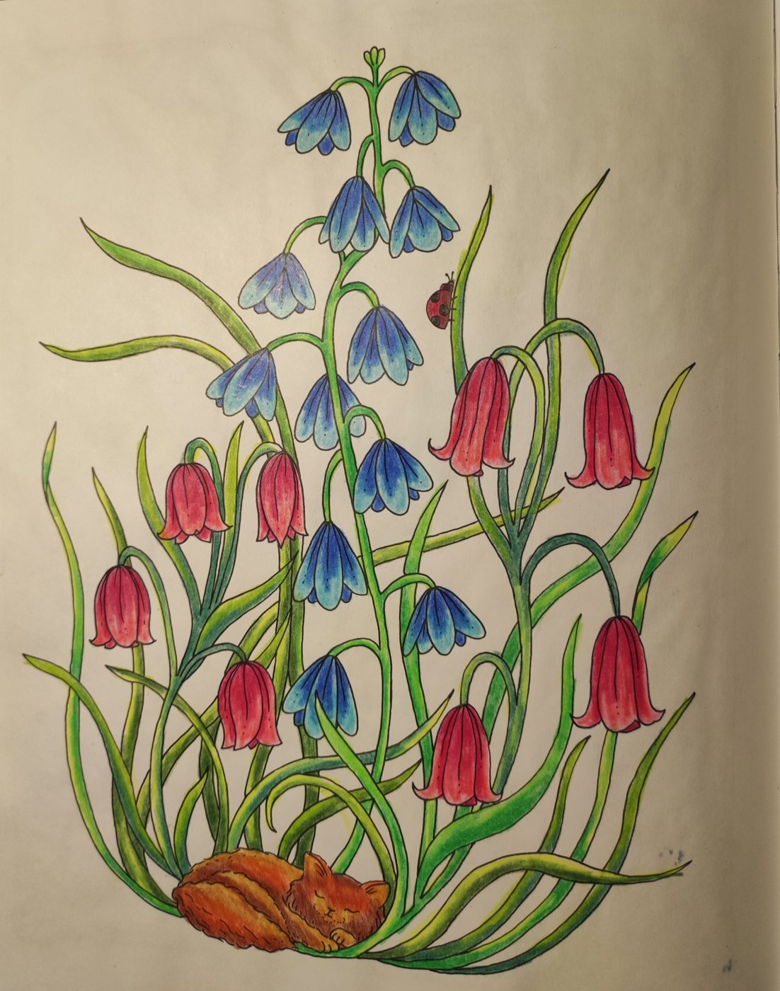 Работа от ColorfulOlga