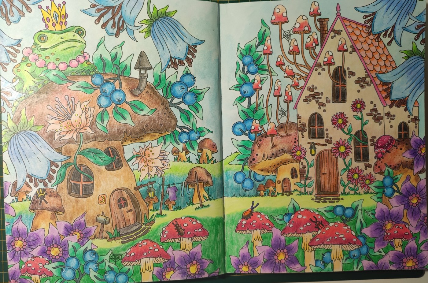 Работа от ColorfulOlga (1/3)