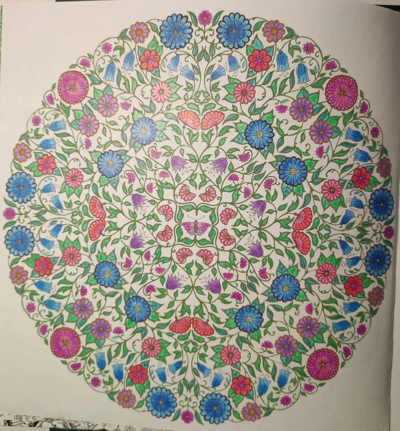 Работа от ColorfulOlga