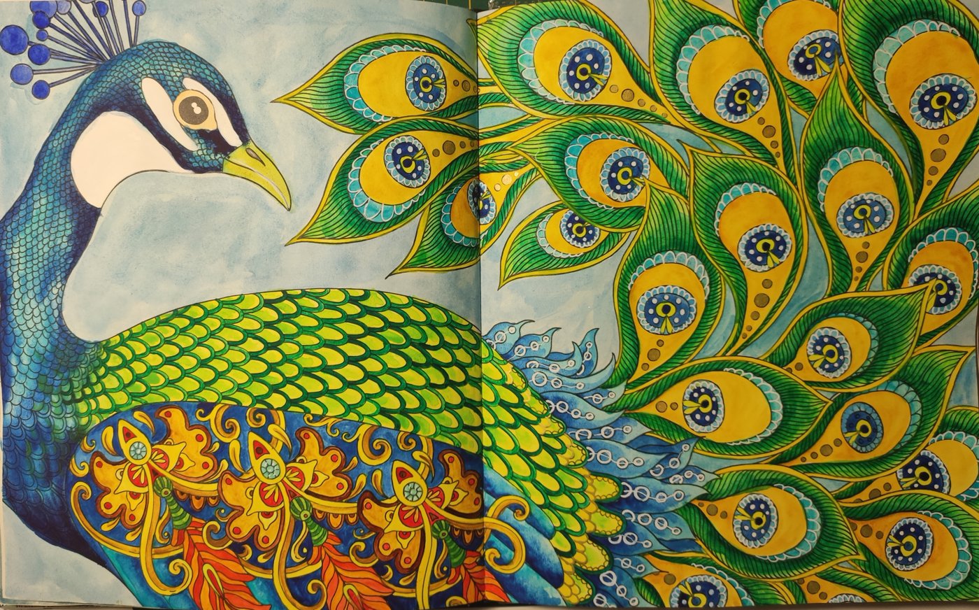 Работа от ColorfulOlga