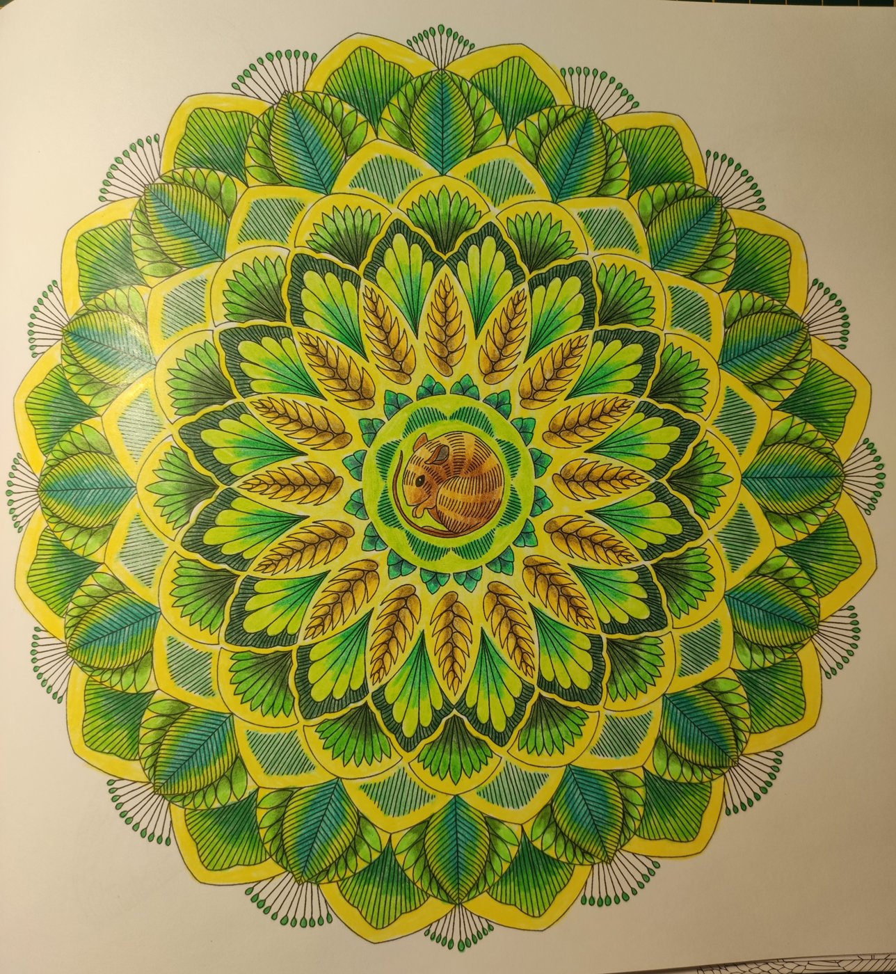 Работа от ColorfulOlga