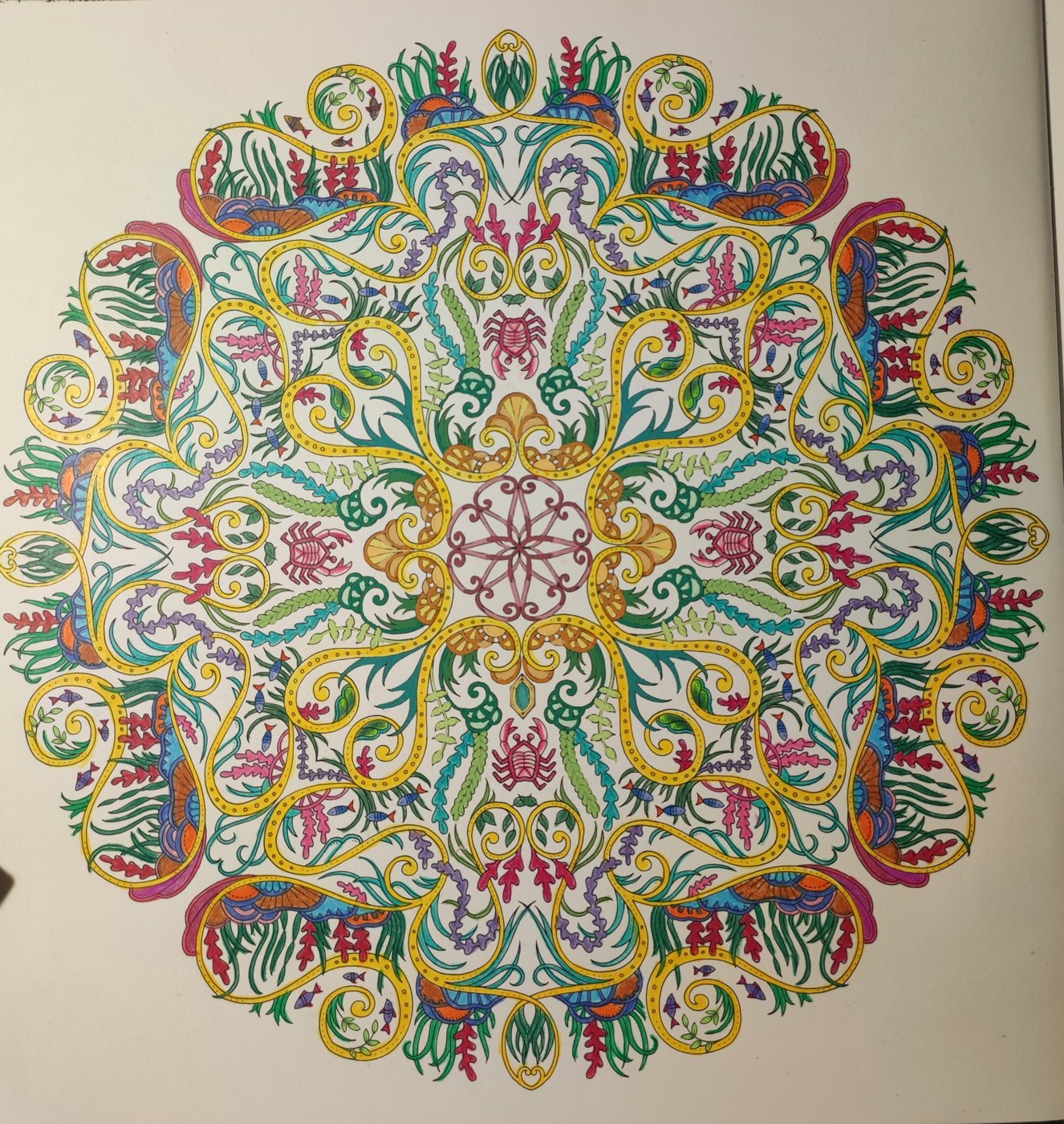 Работа от ColorfulOlga