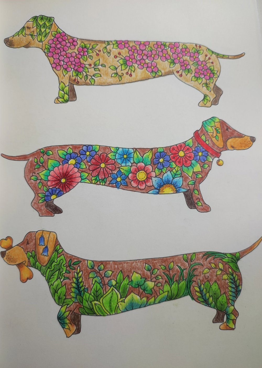 Работа от ColorfulOlga