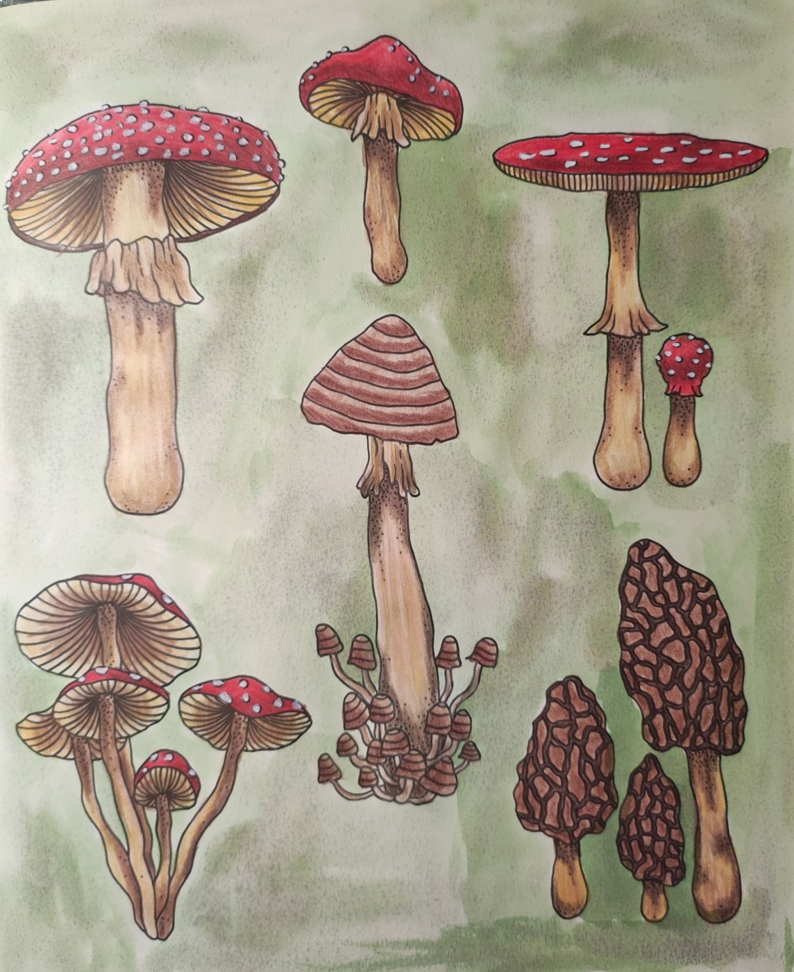 Работа от ColorfulOlga